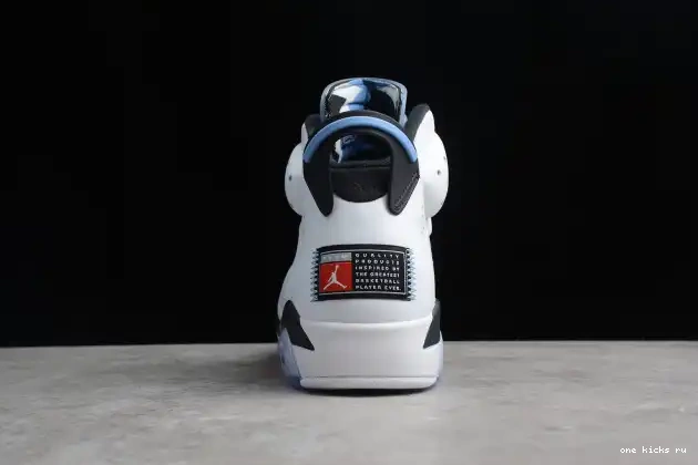 Rep Onekick CT8529-410 UNC Air Jordan 6 0507